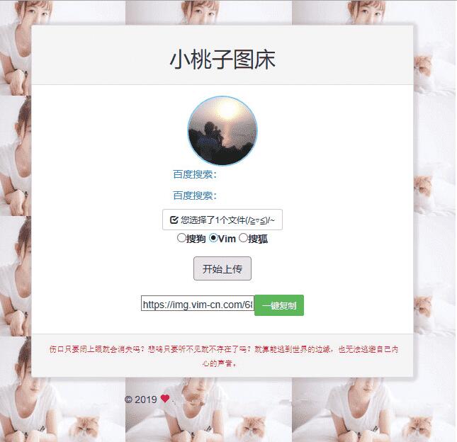 聚合图床程序源码 支持搜狗搜狐Vim图-热点1站-源码资源免费分享官网