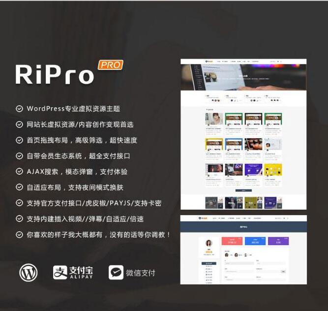 图片[1]-最新WP+RiPro主题PJ版 功能强大-热点1站-源码资源免费分享官网