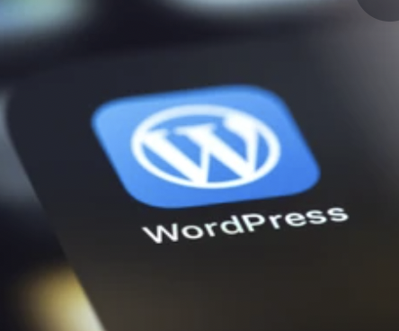 WordPress建站论坛-WordPress建站版块-自我提升-热点1站-源码资源免费分享官网