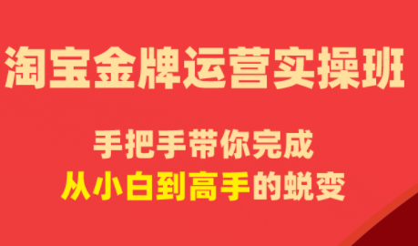 飓风电商·淘宝金牌运营实操班-热点1站 - 热点知汇专注网赚项目资源知识聚汇