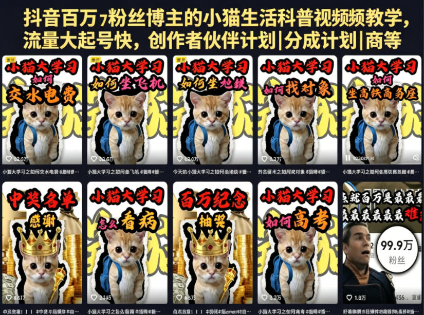 抖音百万粉丝博主的小猫生活科普视频教学,流量大起号快,创作者伙伴计划|分成计划|商单|收徒等-热点1站 - 热点知汇专注网赚项目资源知识聚汇