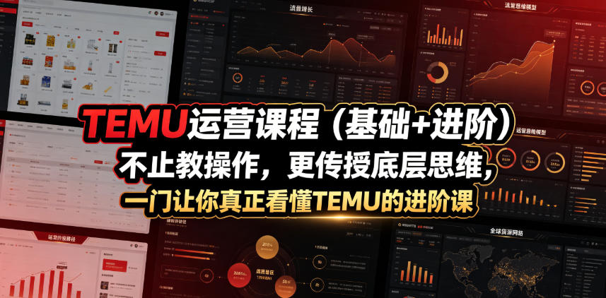 TEMU运营课程(基础+进阶),不止教操作,更传授底层思维,一门让你真正看懂TEMU的进阶课-热点1站 - 热点知汇专注网赚项目资源知识聚汇